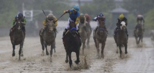 American Pharoah, ridden by Victor Espinoza, center, wins the 140th Preakness Stakes horse race at Pimlico Race Course, Saturday, May 16, 2015, in Baltimore. (AP Photo/Patrick Semansky)